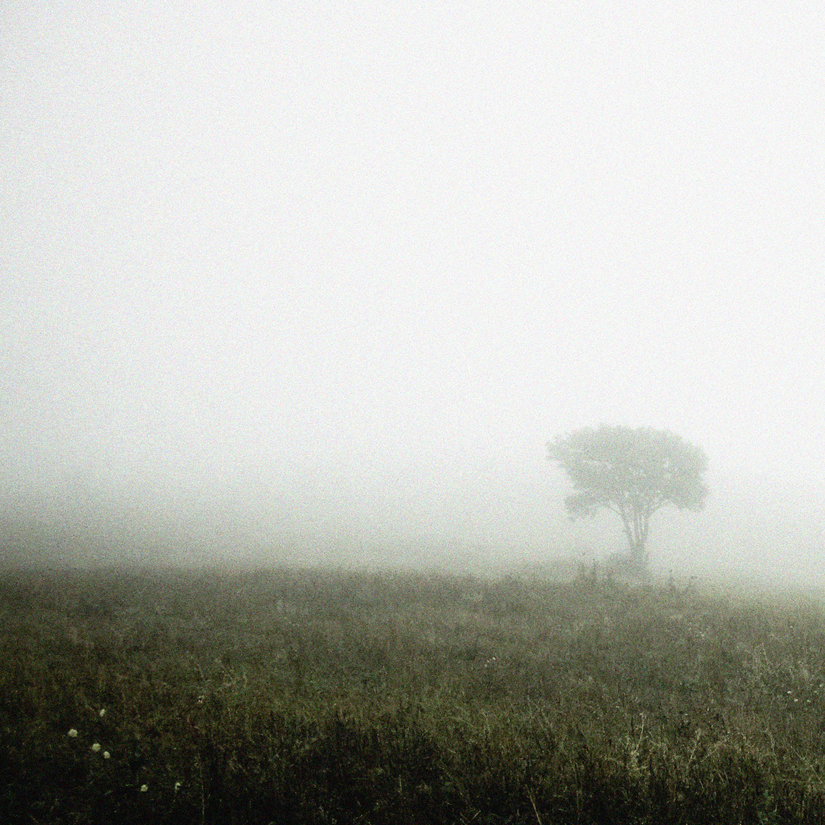 Mist tijdens wandeling