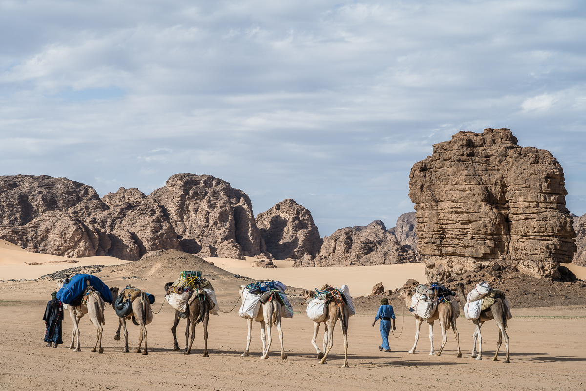 Kamelenkaravaan in de woestijn in Algerije