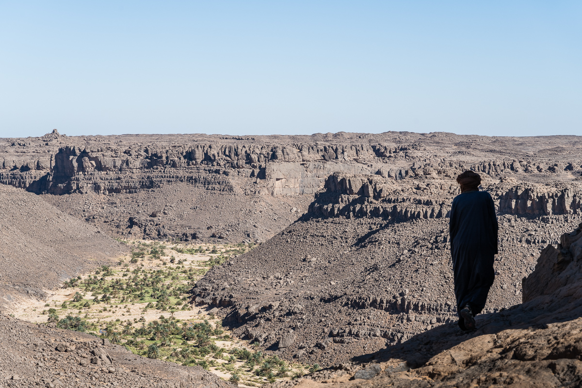 Silhouet van een Toeareg in de Sahara die uitkijkt over een kloof vol met palmbomen